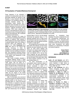 3D Visualization of Thylakoid Membrane Development