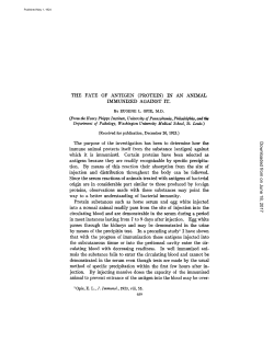 THE FATE OF ANTIGEN