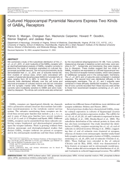 Cultured Hippocampal Pyramidal Neurons Express Two Kinds of