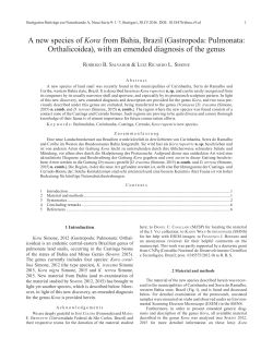A new species of Kora from Bahia, Brazil (Gastropoda: Pulmonata