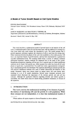 A Model of Tumor Growth Based on Cell Cycle