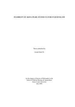 feasibility of akoya pearl oyster culture in
