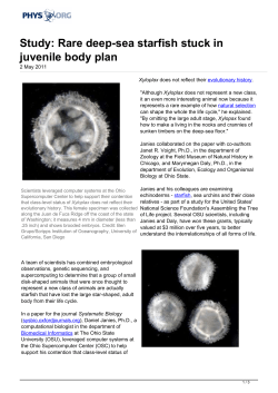 Study: Rare deep-sea starfish stuck in juvenile body plan