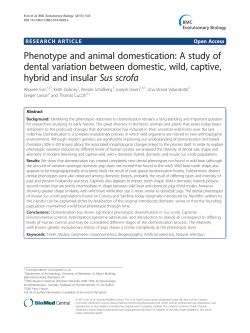 Phenotype and animal domestication: A study of dental variation