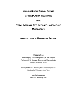 IMAGING SINGLE FUSION EVENTS AT THE PLASMA MEMBRANE