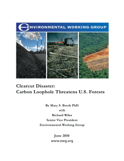 Clearcut Disaster