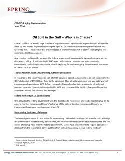 Oil Spill in the Gulf &ndash; Who is in Charge?