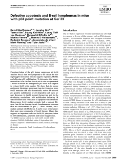 Defective apoptosis and Bcell lymphomas in mice with p53 point