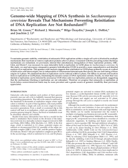 Genome-wide Mapping of DNA Synthesis in