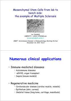 MSC from lab to bench side the example of MS Luc