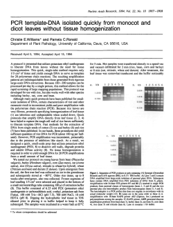 PCR template-DNA isolated quickly from monocot and dicot leaves