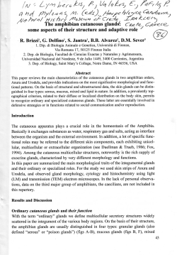 The amphibian cutaneous glands