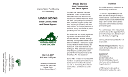 printable flyer and registration form