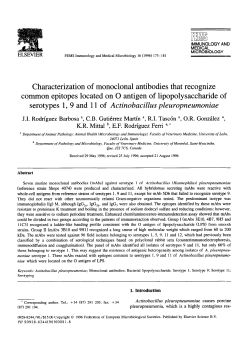 Characterization of monoclonal antibodies that recognize common
