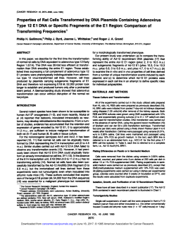 Properties of Rat Cells Transformed by DMA