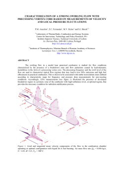 Characterization of a strong swirling flow with