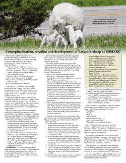 Conceptualization, creation and development of