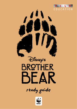 Brother Bear Study Guide