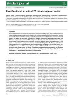 Identification of an active LTR retrotransposon in rice