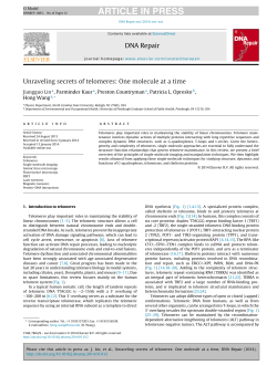 Unraveling secrets of telomeres: One molecule at