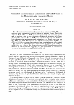 Control of Macromolecular Composition and Cell Division in the