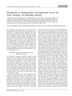 Baculovirus as Mammalian Cell Expression Vector for Gene Therapy