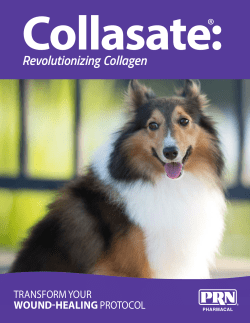 Collasate Product Sheet