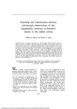 Scanning and Transmission Electron Microscopic