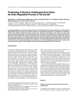 Positioning of Nuclei in Arabidopsis Root Hairs: An Actin