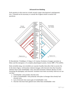 Advanced tree thinking Each question in this exercise