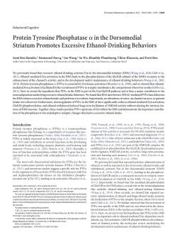 Protein Tyrosine Phosphatase&alpha;in the Dorsomedial Striatum