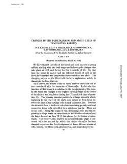 CHANGES IN THE BONE MARROW AND BLOOD CELLS OF