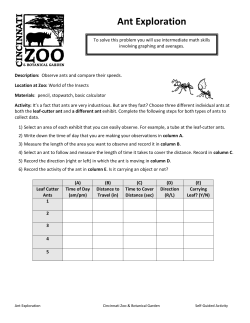 Ant Exploration - Cincinnati Zoo