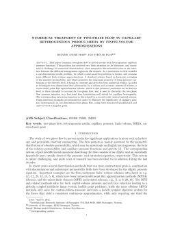NUMERICAL TREATMENT OF TWO-PHASE FLOW IN CAPILLARY