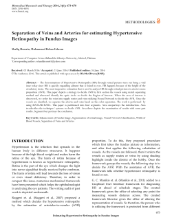 Separation of Veins and Arteries for estimating Hypertensive