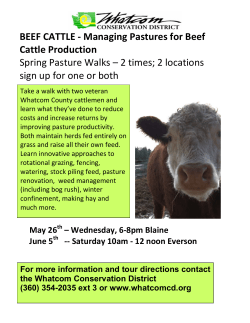 BEEF CATTLE tour May 2010