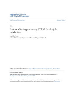 Factors affecting university STEM faculty job satisfaction