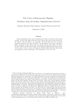 The Costs of Bureaucratic Rigidity: Evidence from the