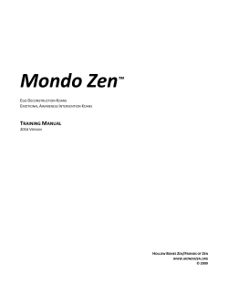 Mondo Zen Training Manual