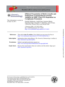 Efficient Presentation of Both Cytosolic and Endogenous