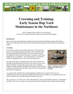 Hop Crowning and Training