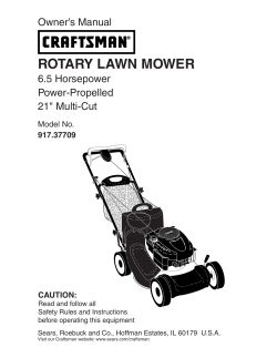 rotary lawn mower