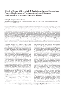 Effect of Solar Ultraviolet-B Radiation during