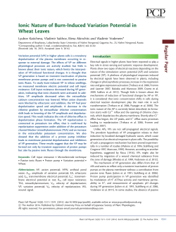Ionic Nature of Burn-Induced Variation Potential in Wheat Leaves