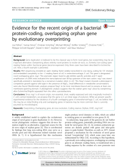 Evidence for the recent origin of a bacterial protein