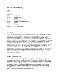 DIY Nisken Bottle Activity