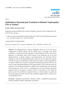 Epithelial-to-Mesenchymal Transition in Diabetic Nephropathy: Fact