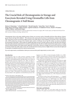 The Crucial Role of Chromogranins in Storage and Exocytosis