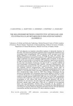 the relationship between constitutive atp release and its extracellular