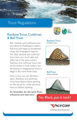 Trout Regulations